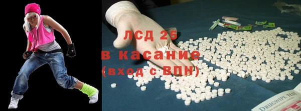 ECSTASY Богородицк