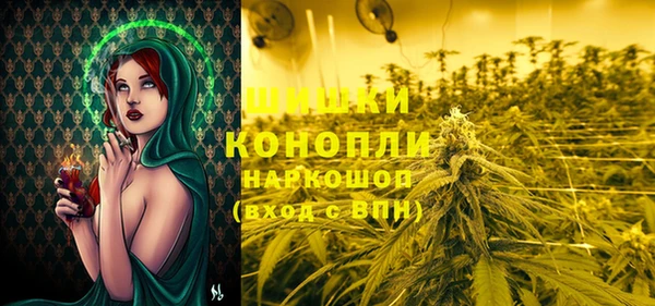 гашиш Богданович