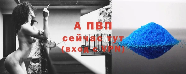 гашиш Богданович