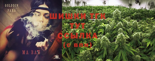 гашиш Богданович
