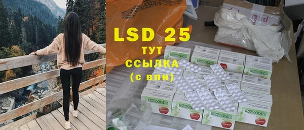 ECSTASY Богородицк