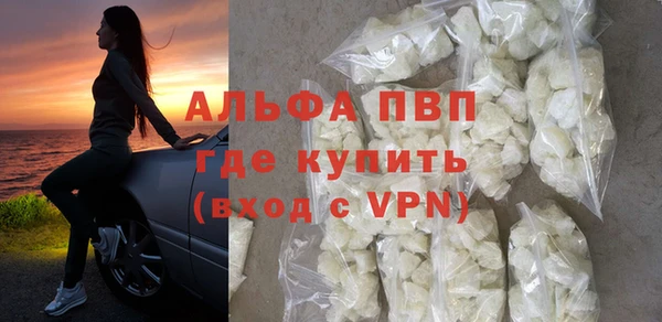 ECSTASY Богородицк
